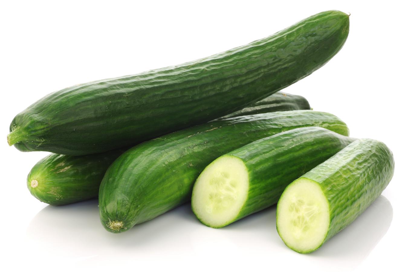 English Cucumbers in Harare Zimbabwe at affordable prices.
