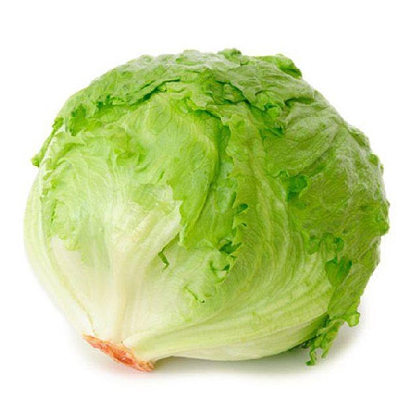 Fresh lettuce in Harare Zimbabwe, buy now at affordable prices.