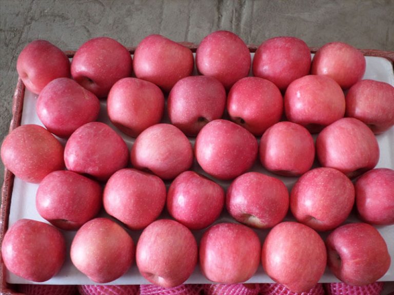 Red Apples Box Fresh fruits in Harare Zimbabwe Vegetable Basket