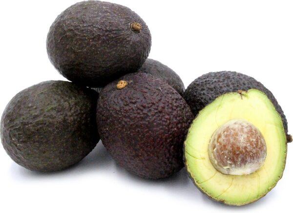 Huss Small Avocados (8)
